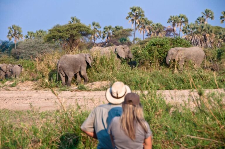 Walking safari guide pointing out tracks in the Tanzanian bush