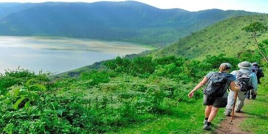 Trekkers walking the green Ngorongoro Crater rim above the soda lake