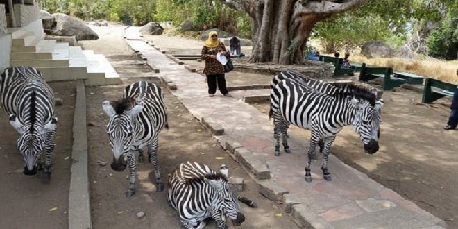 Saanane Island National Park in Lake Victoria near Mwanza, Tanzania
