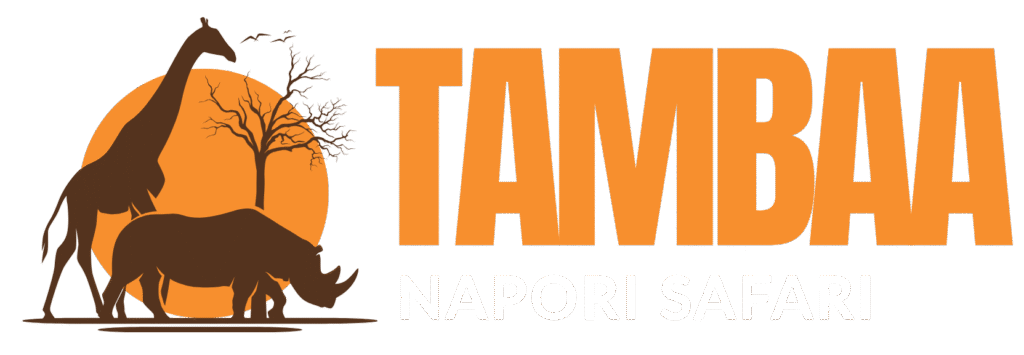 Tambaa na Pori Safaris