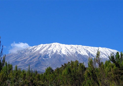 Snow-capped Mount Kilimanjaro rising above the forest
