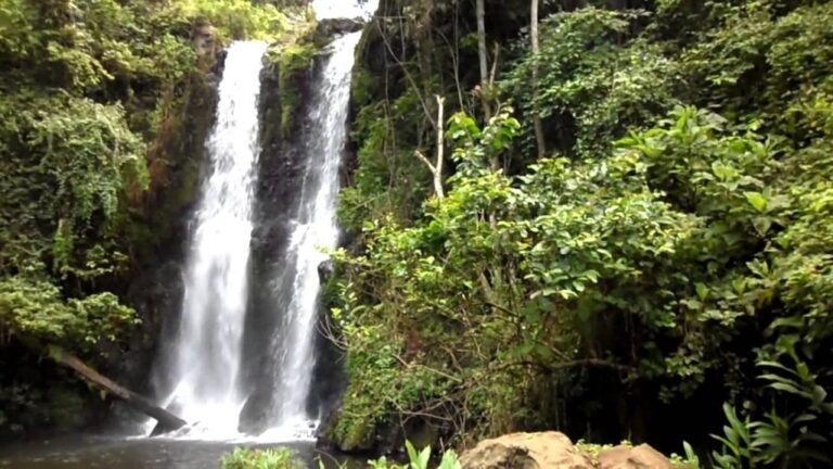Twin waterfalls falling through dense green forest