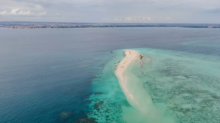 Zanzibar coastline aerial view