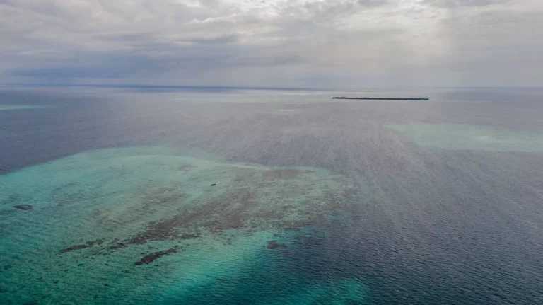Zanzibar coastline aerial view